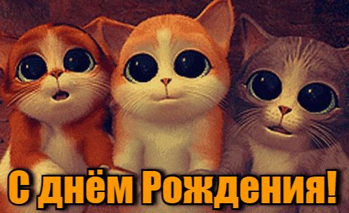 Гифки на день Рождения с Котами (15 gif картинок)