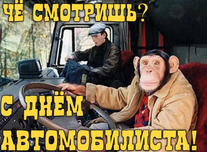 Смешная открытка с шимпанзе "Чё смотришь? С днём Автомобилиста!".