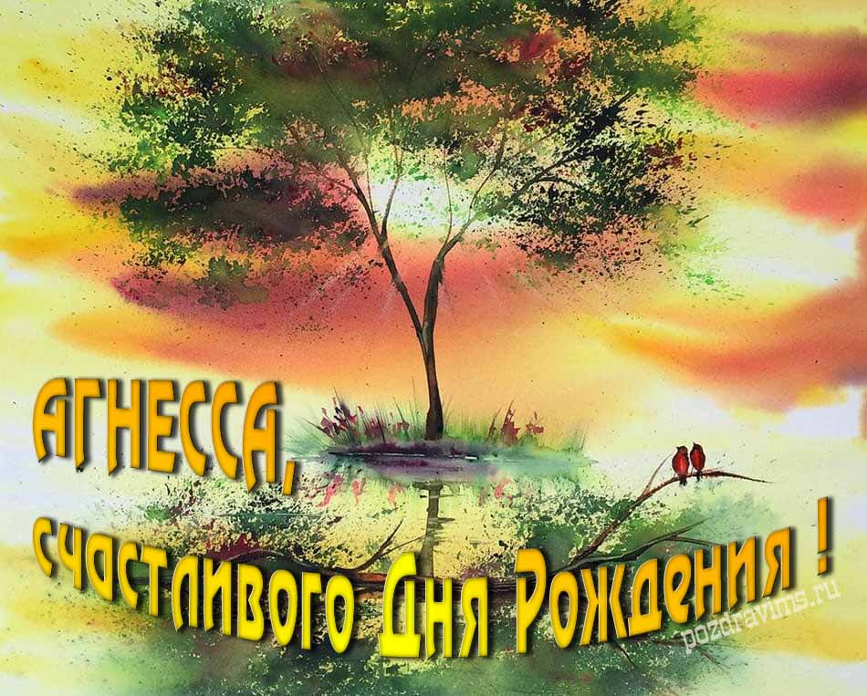 Красивая летняя картинка с природой на фоне заката и пожеланием Агнессе счастливого дня рождения.