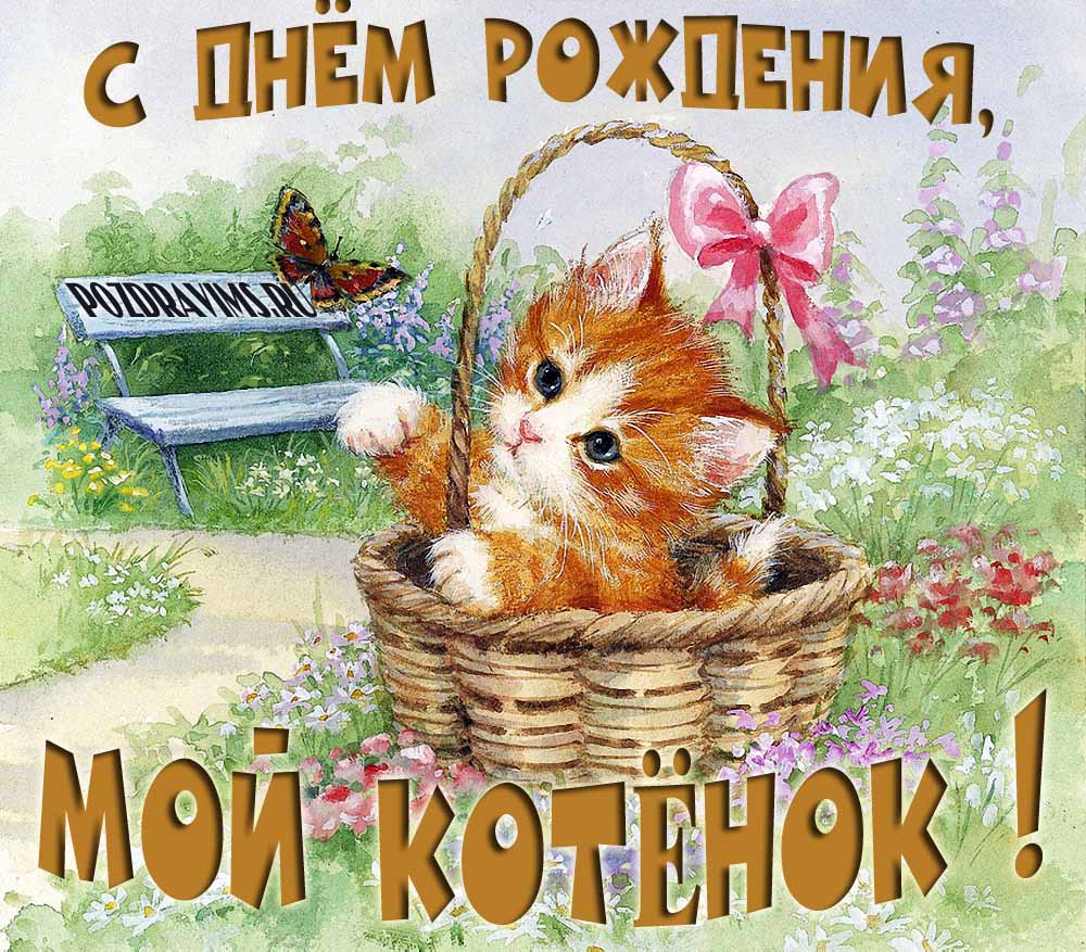 Трогательная картинка "С днём рождения, мой котёнок!".