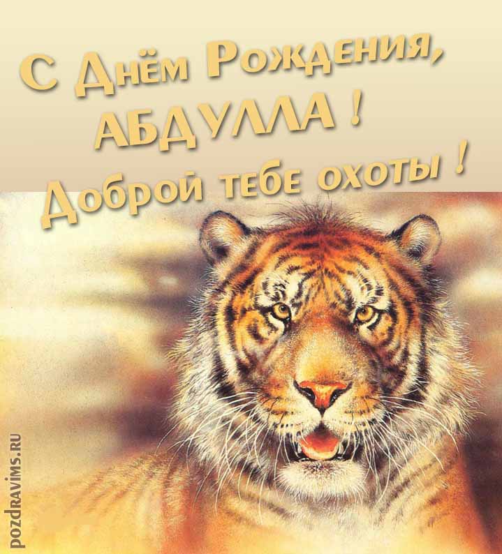 Прикольная картинка с суровым тигром "С днём рождения, Абдулла! Доброй тебе охоты!".