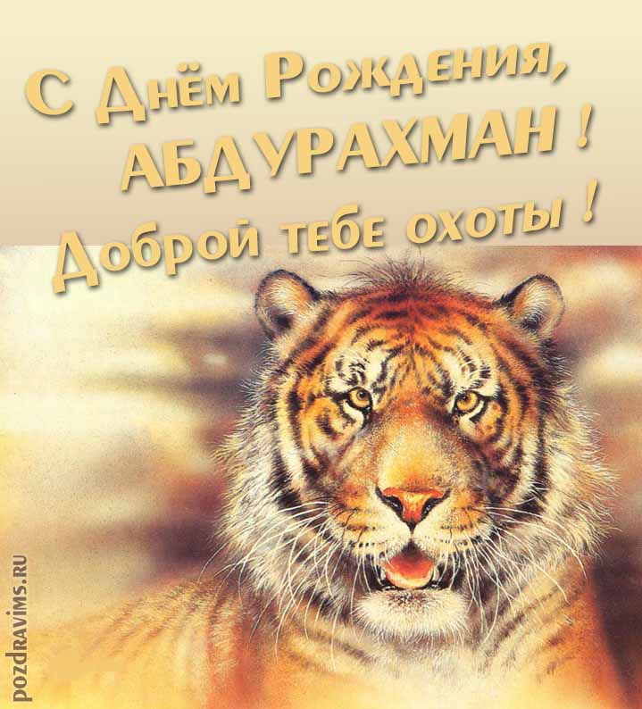 Прикольная картинка с суровым тигром "С днём рождения, Абдурахман! Доброй тебе охоты!".