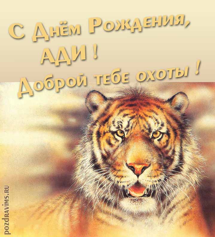 Прикольная картинка с суровым тигром "С днём рождения, Ади! Доброй тебе охоты!".