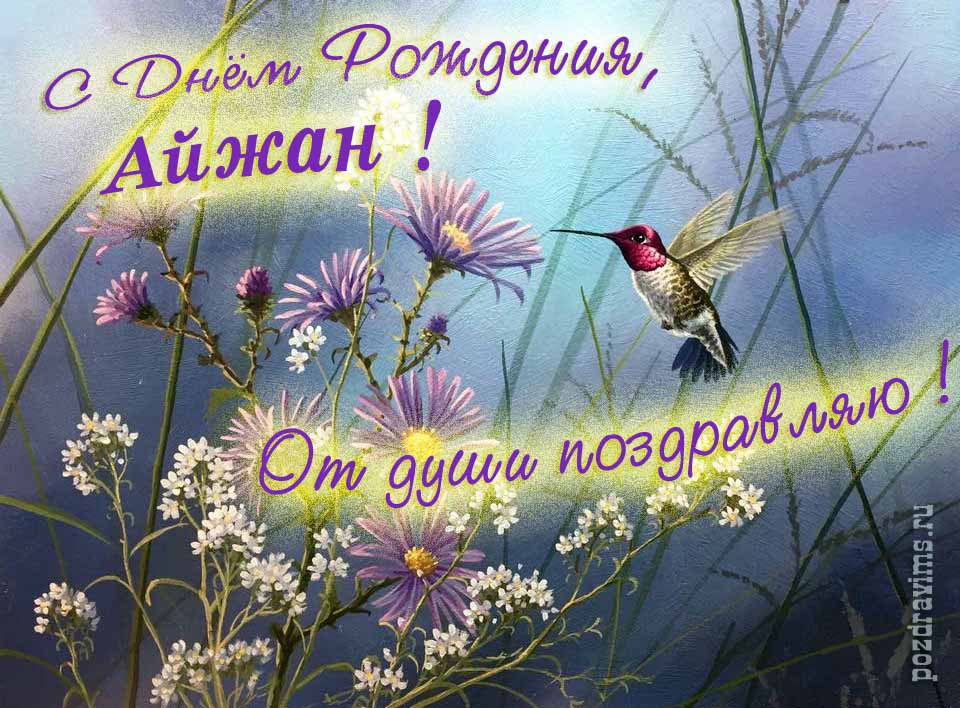 Волшебная открытка с птичкой в цветах и надписью "С днём рождения, Айжан! От души поздравляю!".