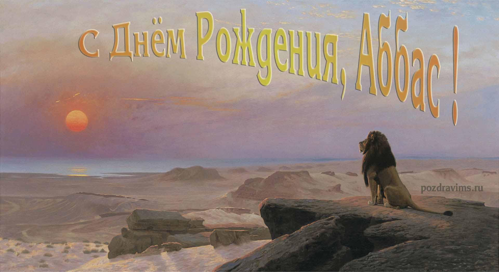 Прикольная картинка со львом смотрящим на закат и поздравлением ко дню рождения мужчины с именем Аббас.