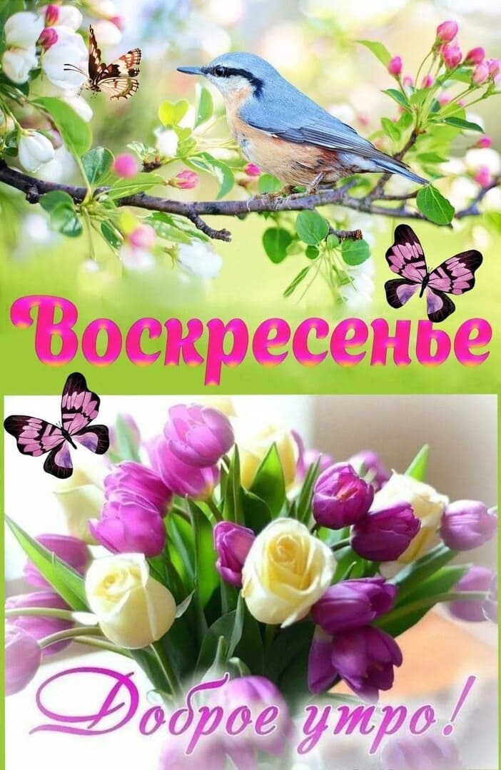 Весенняя открытка с добрым утром Воскресенья!