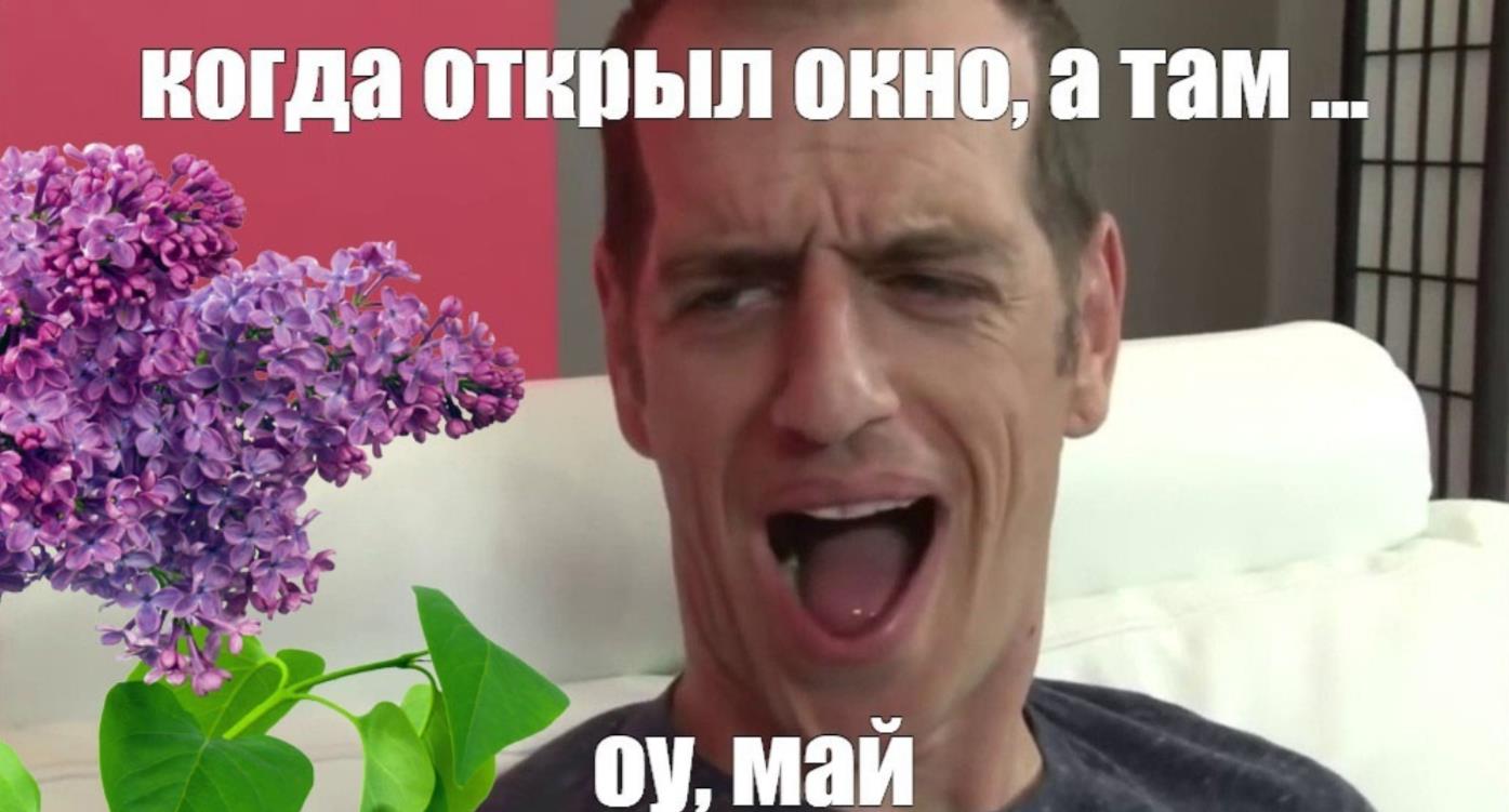 Мем когда открыл окно, а там... Оу, Май!