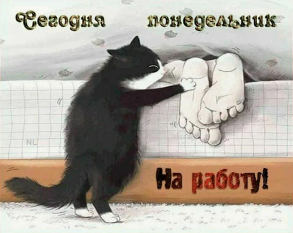 Смешная картинка : "Сегодня понедельник! На работу!"