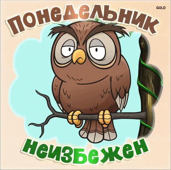 Смешная анимация с совой- понедельник неизбежен!
