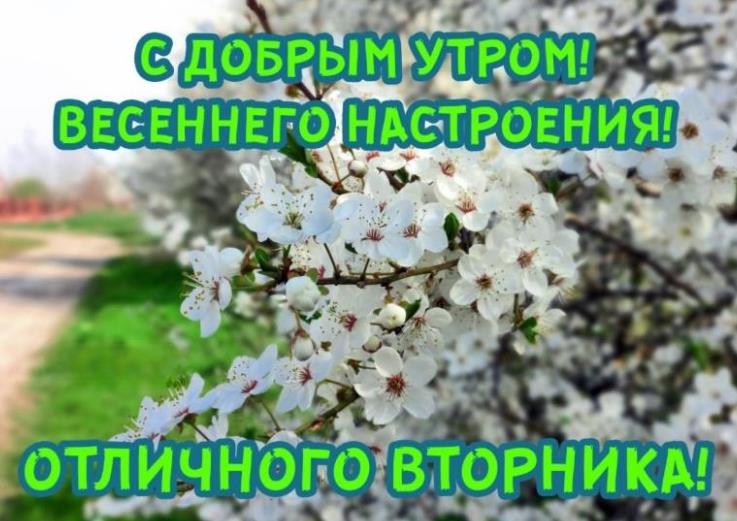 Открытка с пожеланием доброго весеннего утра Вторника!