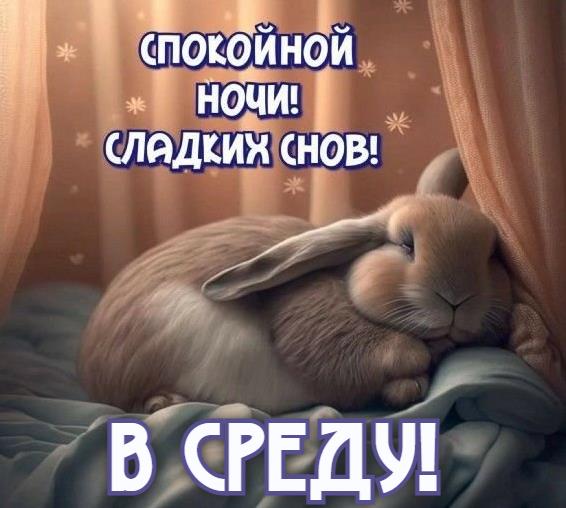 Милая картинка с зайкой спокойной ночи, сладких снов! В Среду!