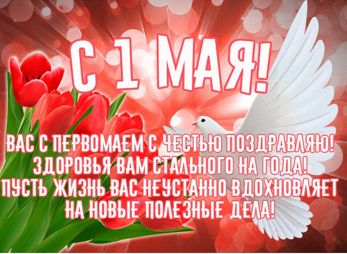 Красивая гифка с 1 Мая! с тюльпанами и голубем мира