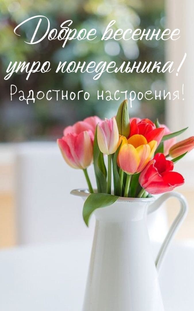 Доброе весеннее утро понедельника! Радостного настроения!