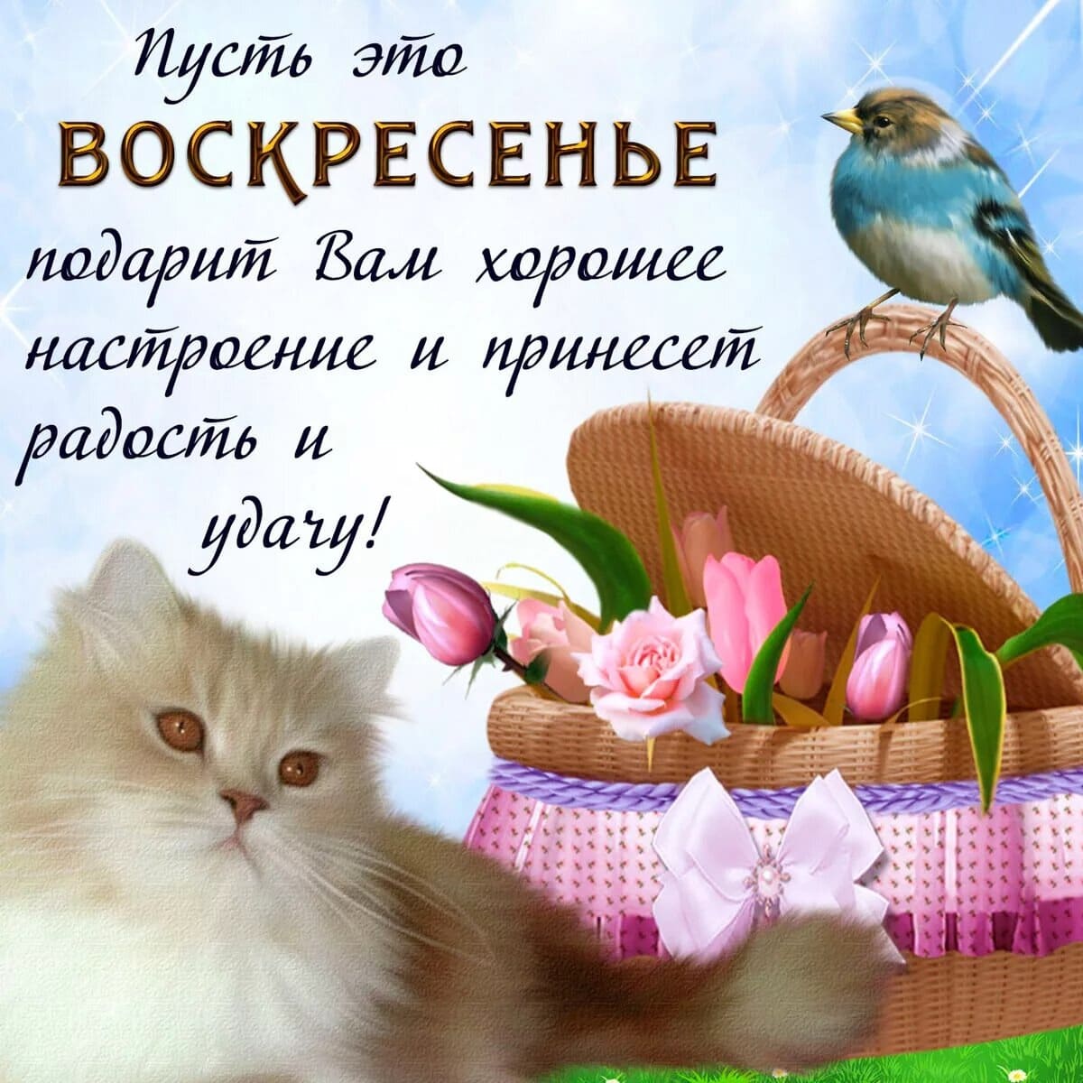 Пусть это воскресенье подарит вам хорошее настроение и принесёт удачу!