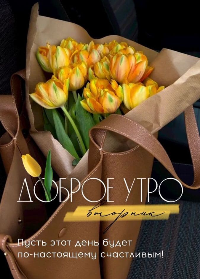 Доброе утро Вторник! Пусть он будет счастливым!