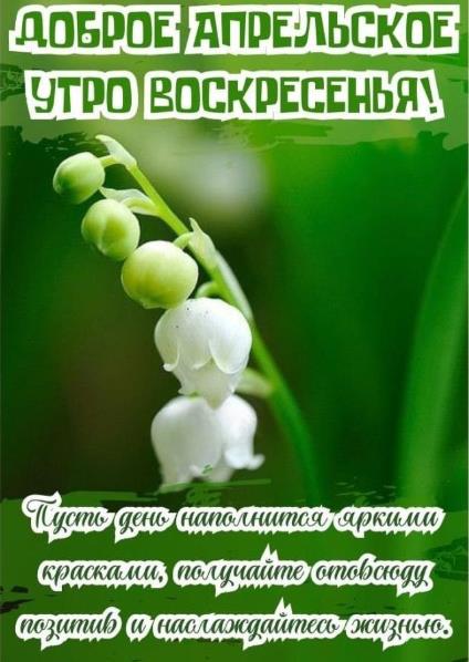 Доброе апрельское утро воскресенья!