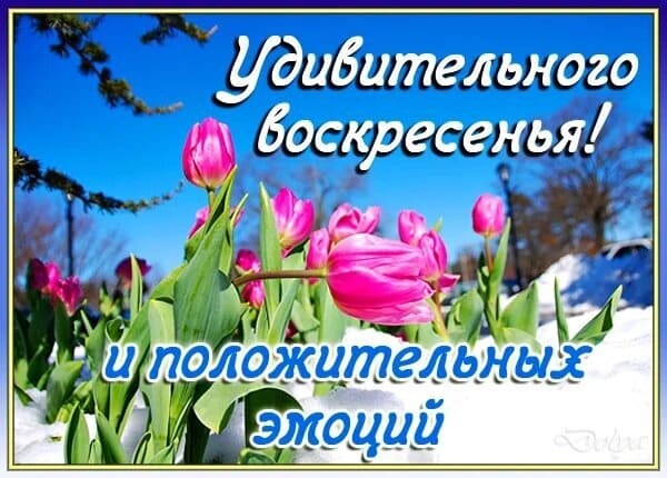 Удивительного Воскресенья! И положительных эмоций!