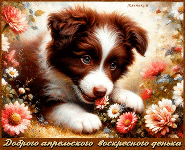 Анимированная gif картинка доброго апрельского воскресного денька