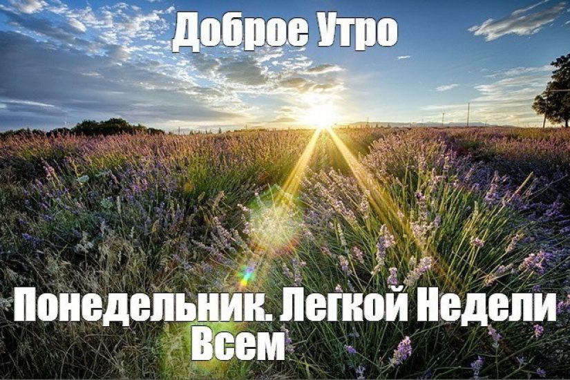 Видео открытка доброе утречко с Понедельником!