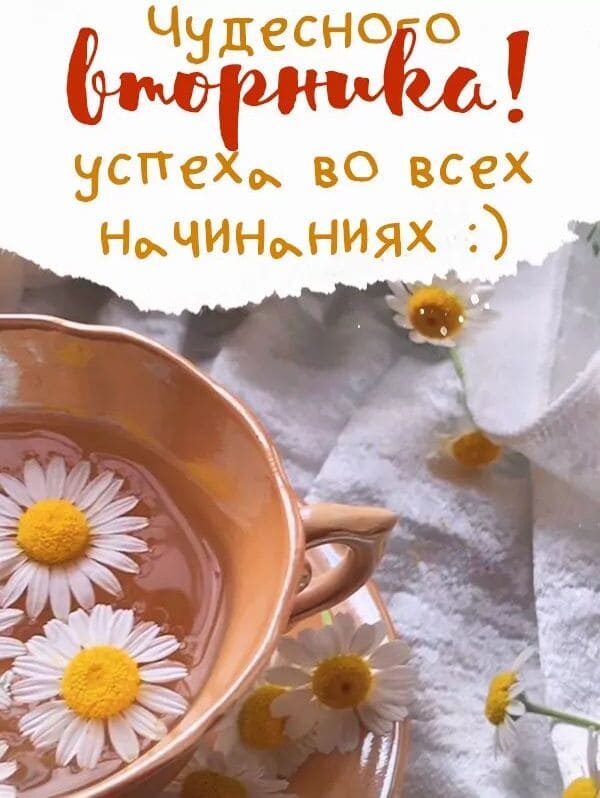 Красивая открытка с пожеланием чудесного Вторника! И успеха в начинаниях!
