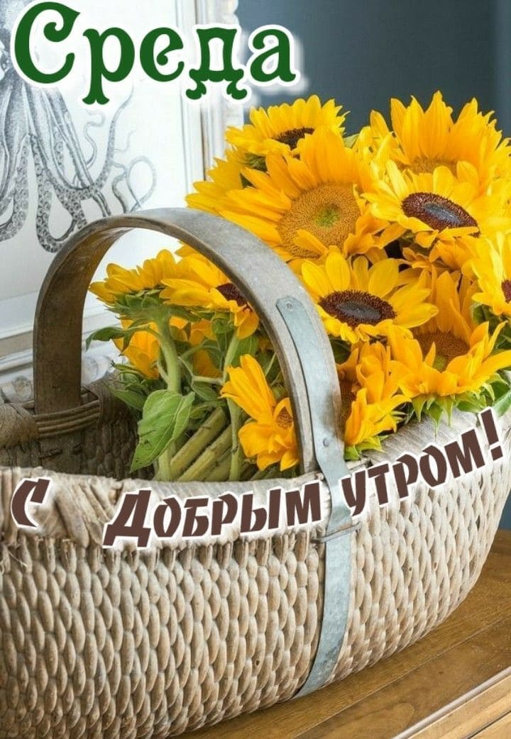 Корзина подсолнухов утром в Среду!