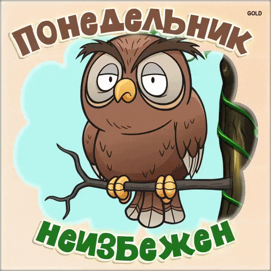 Смешная анимация с совой- понедельник неизбежен!