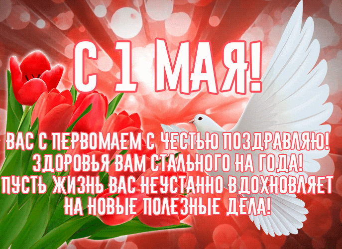 Красивая гифка с 1 Мая! с тюльпанами и голубем мира