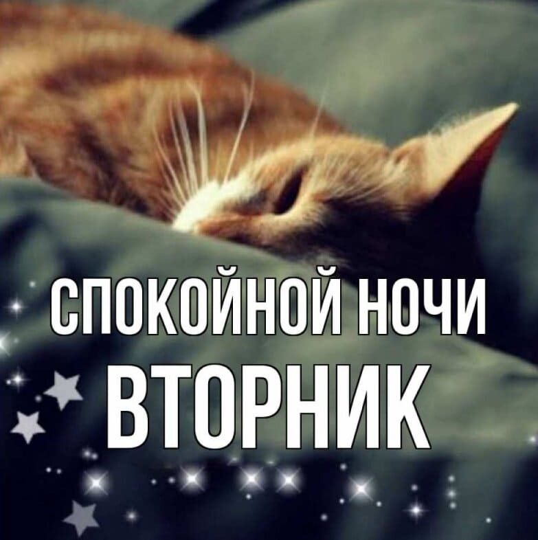 Котик желает спокойной ночи Вторника