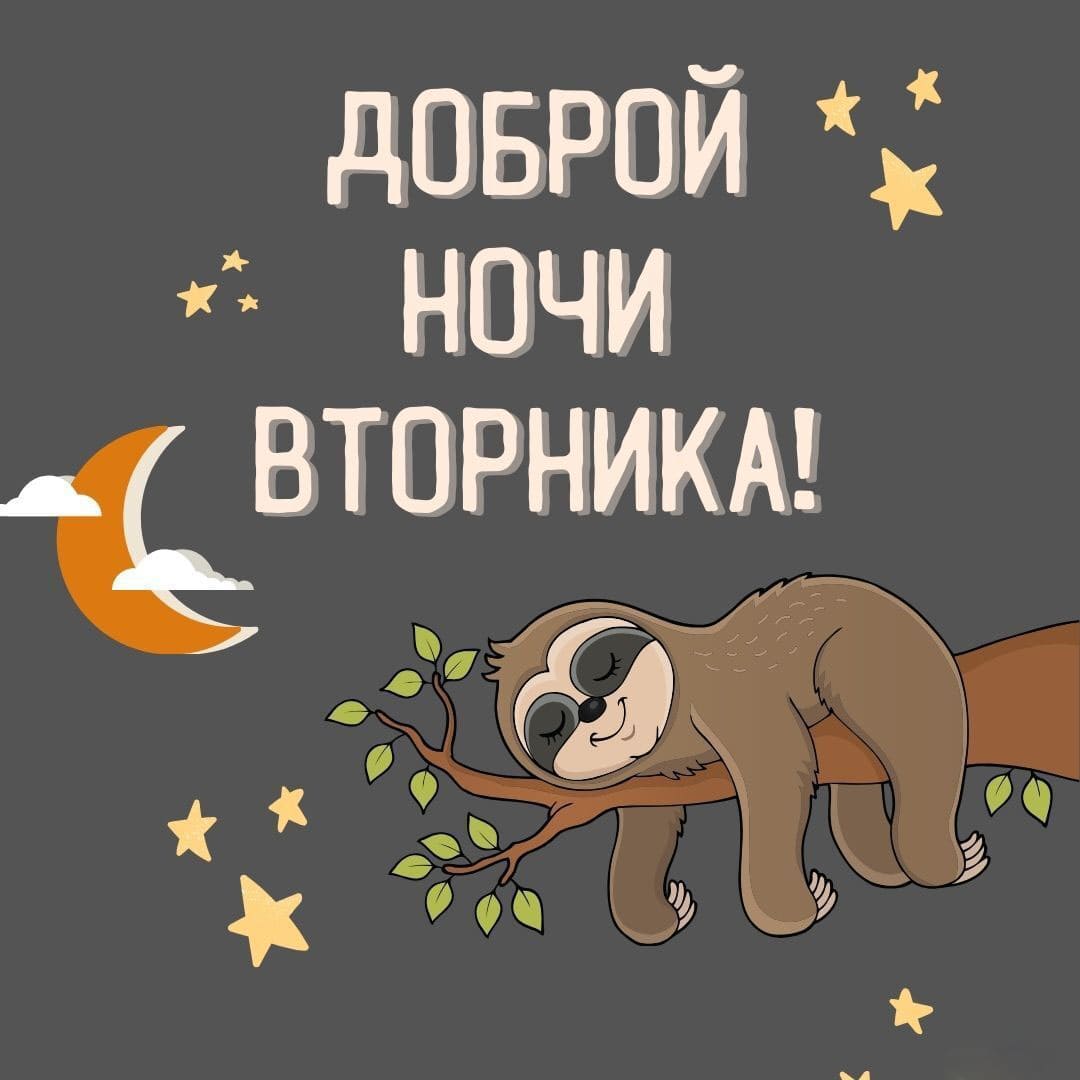 Прикольная открытка доброй ночи Вторника! с ленивцем