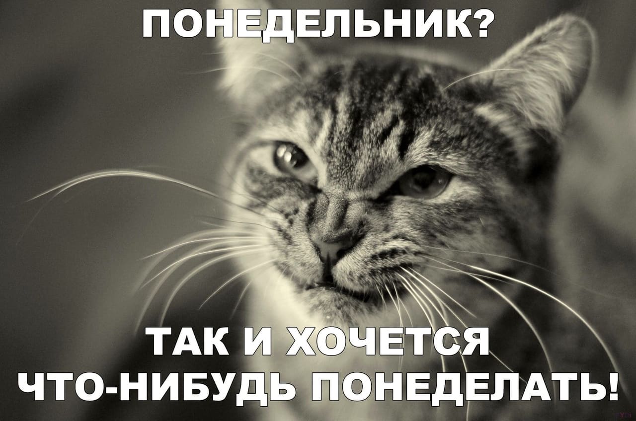 Понедельник! Так и хочется, чего-нибудь понеделать!