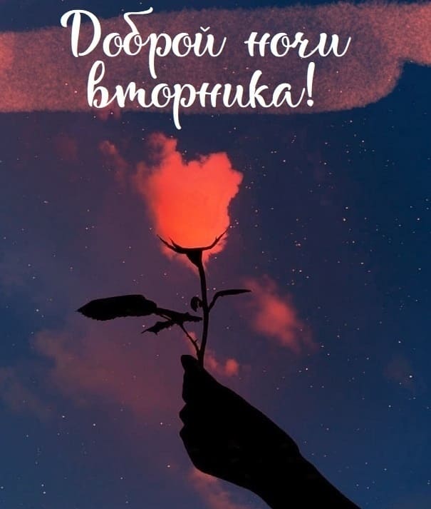 Романтическая картинка доброй ночи Вторника!