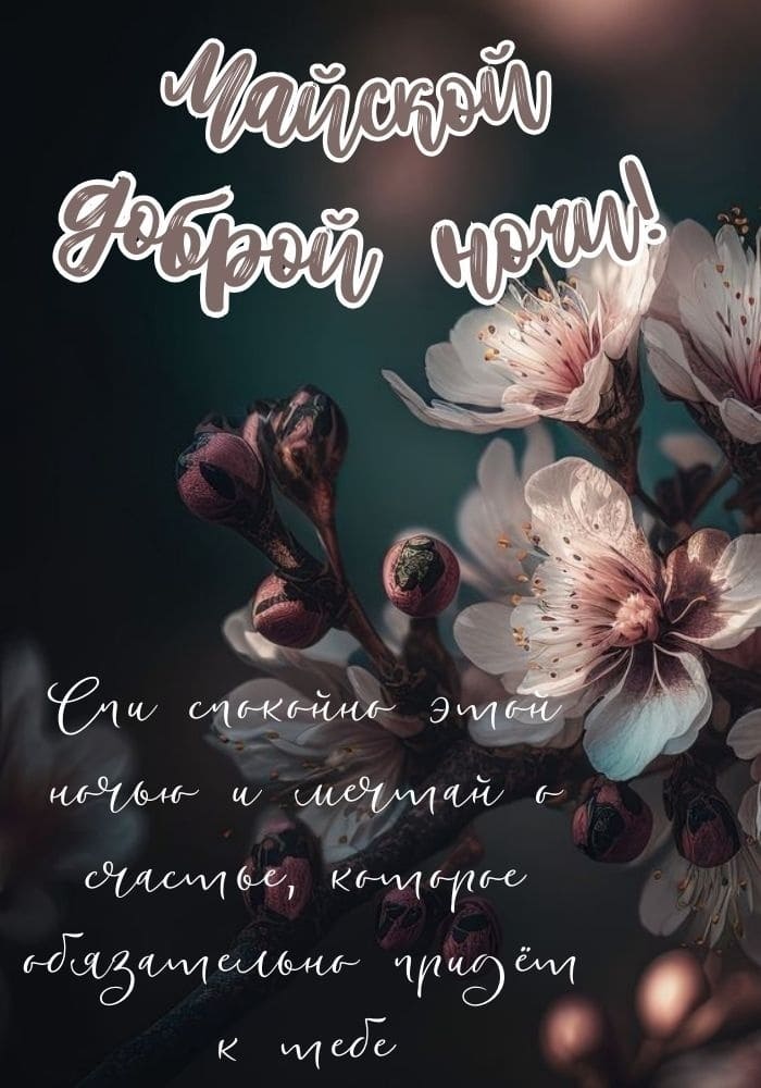 Красивая картинка доброй Майской ночи!