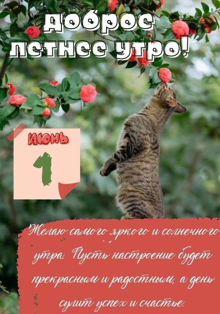 Прикольная открытка с добрым утром 1-го Июня