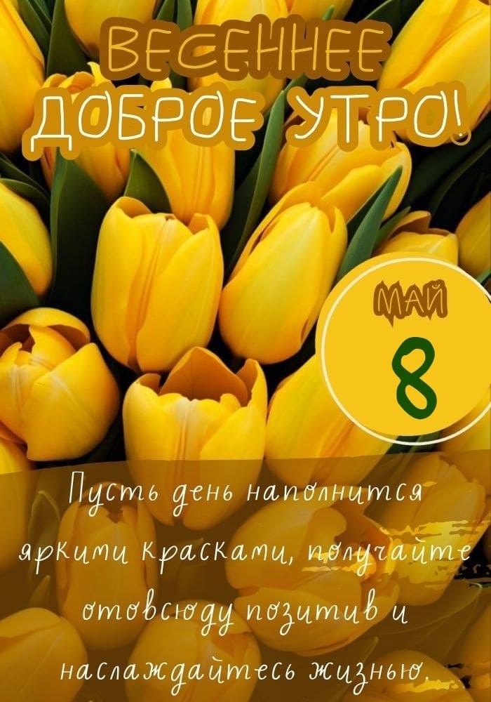 Тюльпановая картинка с добрым утром 8-го Мая
