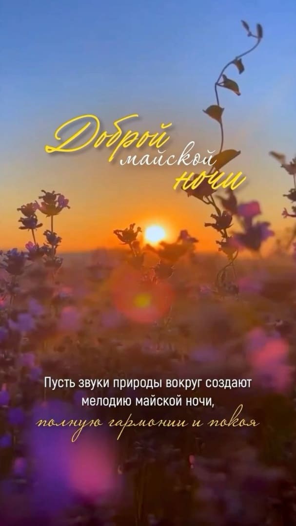 Открытка с пожеланием доброй Майской ночи