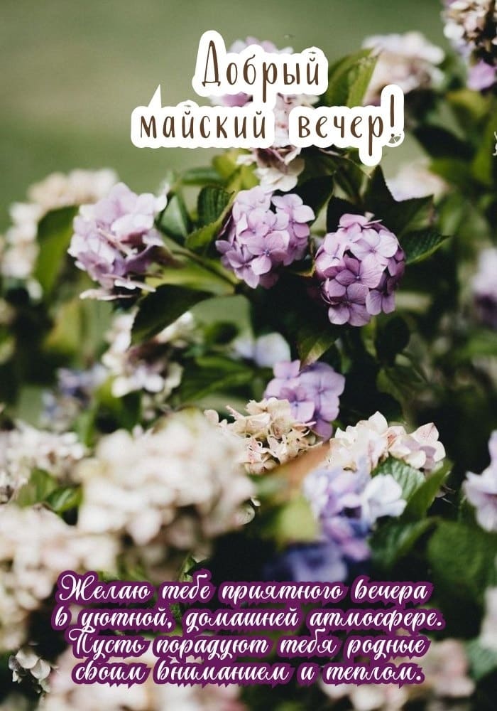 Красивая открытка с пожеланием доброго Майского вечера!
