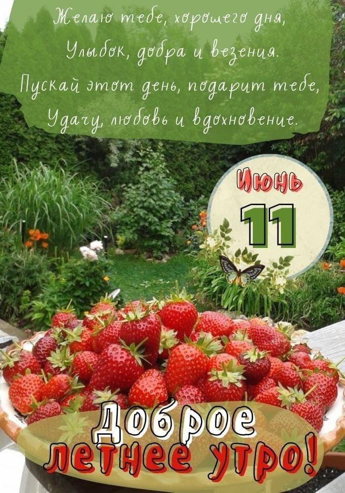 11 Июня - доброго утра! - открытка с пожеланием