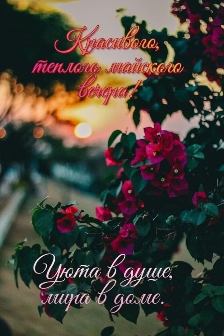 Открытка с пожеланием красивого, тёплого майского вечера!