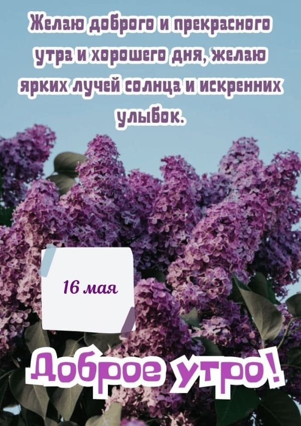 Красивая открытка с добрым утром 16-го Мая
