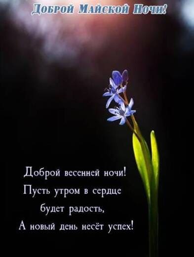 Желаю доброй майской ночи!