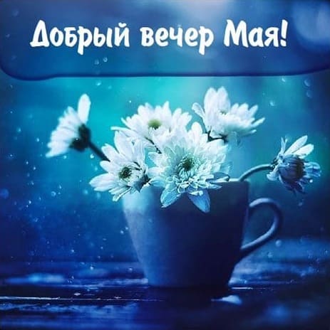 Картинка с цветами и пожеланием доброго майского вечера