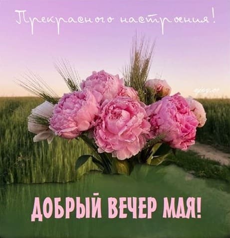 Картинка с пионами в добрый вечер Мая! Прекрасного настроения!