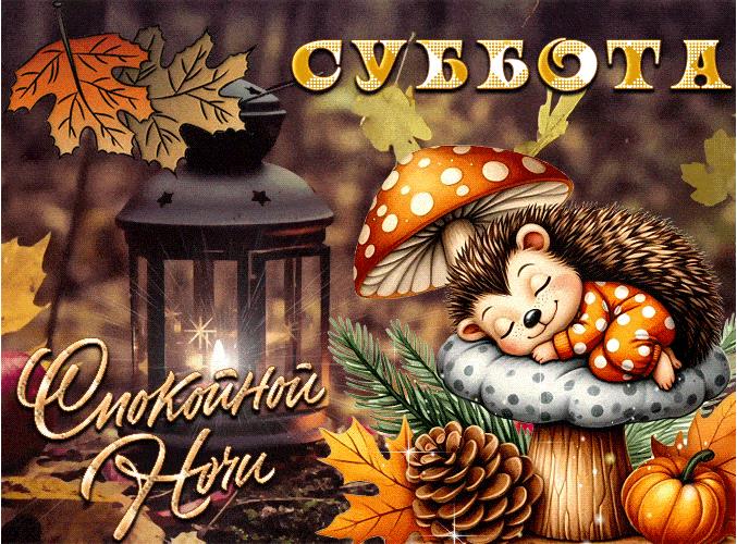 Осенняя гифка спокойной субботней ночи