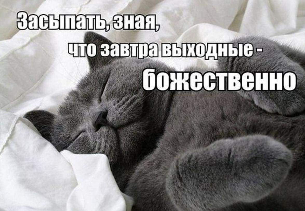 Засыпать зная, что завтра выходной божественно!
