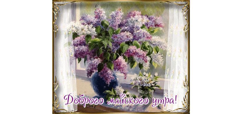 Гифка с букетом сирени Майским утром!