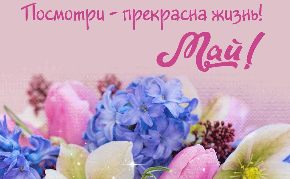 Мерцающая gif картинка Доброго Майского утра с цветами