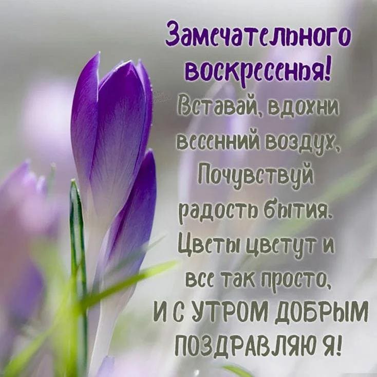 Красивая картинка с пожеланиями замечательного Воскресенья!