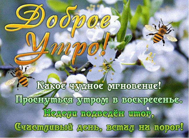 Красивая весенняя гиф открытка с пожеланием доброго Воскресного утра