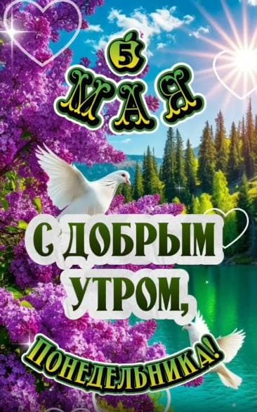 Красивая картинка 5 Мая с добрым утром понедельника!Красивая картинка 5 Мая с добрым утром понедельника!
