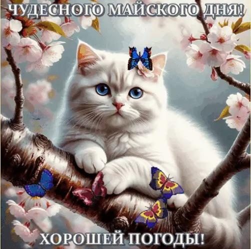 Желаю чудесного майского дня! Хорошей погоды!